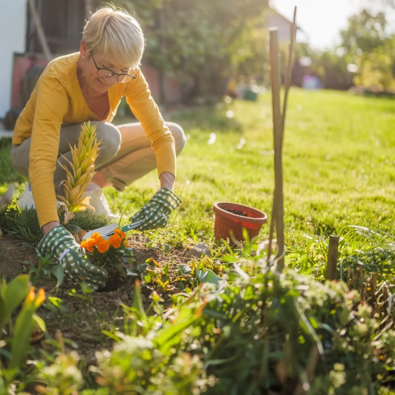 Adult planting orange flowers in a garden on a sunny day