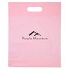 View Image 1 of 1 of Convention Bag - 15" x 12"