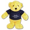 View Image 1 of 2 of Colour Day Bears