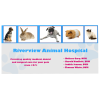 View the Flat Flexible Magnet - Rectangle 2" x 4"