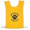 View Image 1 of 2 of Mesh Sports Pinnie