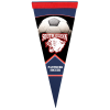 View Image 1 of 1 of Premium Pennant - 8 inches x 18 inches