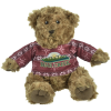 View Image 1 of 2 of Holiday Teddy Bear