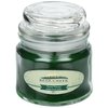 View Image 1 of 2 of Zen Candle in Apothecary Jar - 4.5 oz. - Frosted Pinecone