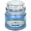 View Image 1 of 2 of Zen Candle in Apothecary Jar - 4.5 oz. - Plum Brandy