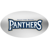 View Image 1 of 1 of Full Colour Chrome Sticker - Oval - 2-1/2" x 4"