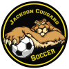 View Image 1 of 1 of Full Colour Static Decal - Circle - 1"