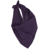 View Image 1 of 2 of Solid Polyester Scarf