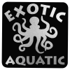 View Image 1 of 1 of Matte Black Embossed Seal by the Roll - Square - 1-1/2" x 1-1/2"