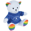 View Image 1 of 3 of Rainbow Bear