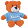 View Image 1 of 4 of Colour Buddy Bear