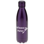 Rockit Claw Shine Stainless Water Bottle - 17 oz.