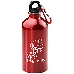 Carabiner Stainless Steel Water Bottle - 16 oz.