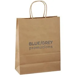 Kraft Paper Brown Shopping Bag - 13" x 10"