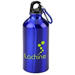 Aluminum Water Bottle with Carabiner - 16 oz. - 24 hr