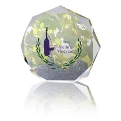 Enterprise Octagon Acrylic Award - Full Colour