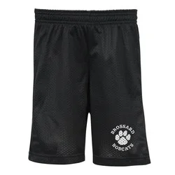 Pro Team Mesh Shorts - Youth