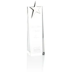 Silver Star Crystal Award