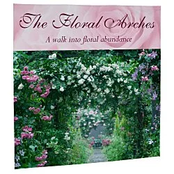 Premium Splash Floor Display - 7' - Front Graphic - Replacement Graphic