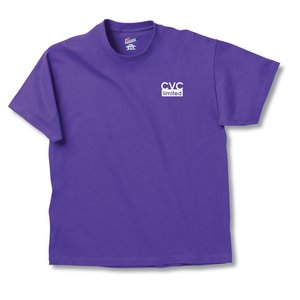 SORRY, UNAVAILABLE - Hanes Tagless T-Shirt - Screen -Colours Main Image