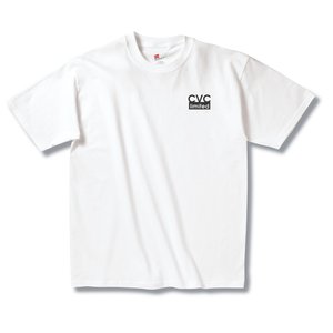 SORRY, UNAVAILABLE - Hanes Tagless T-Shirt - Screen - White Main Image