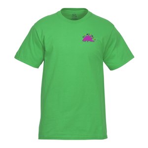 Fruit of the Loom Tagless HD Lofteez T-Shirt - Embroidered - Colours Main Image