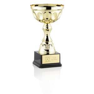 Arlington Cup Trophy Main Image