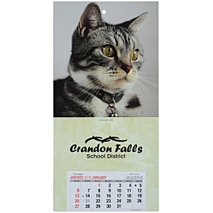 Kitten Classic Mount Calendar - French/English Main Image