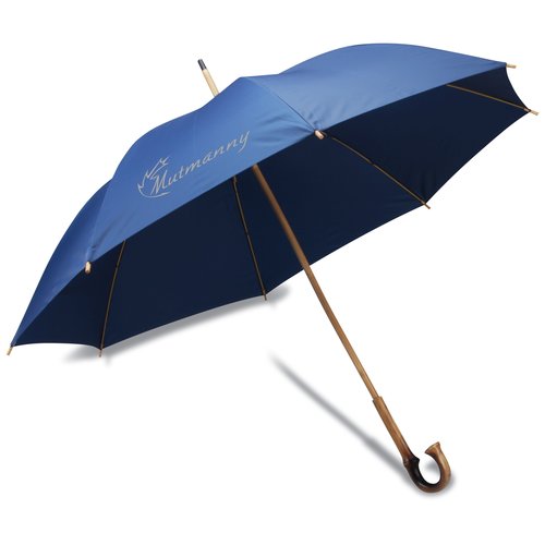 Eco-Friendly Recycled Umbrella Main Image