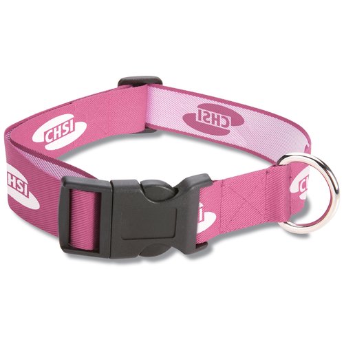 Dog Collar - Small Main Image