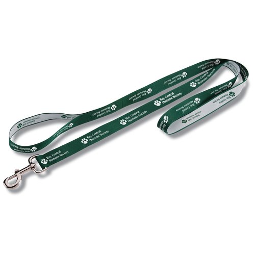 Pet Leash Main Image