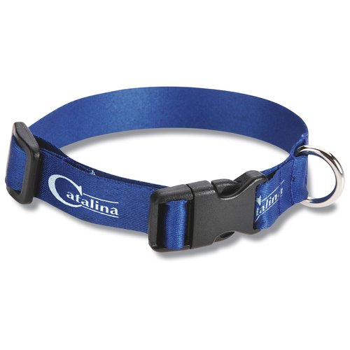 Cat Collar Main Image