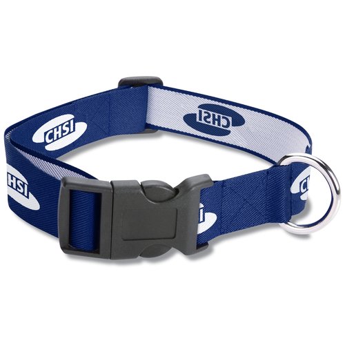 Dog Collar - Medium Main Image