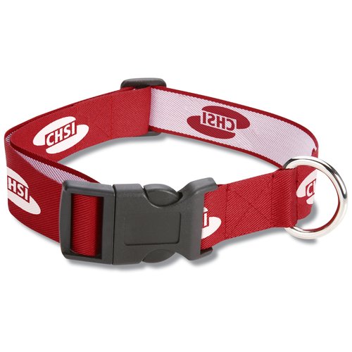 Dog Collar - Large Main Image