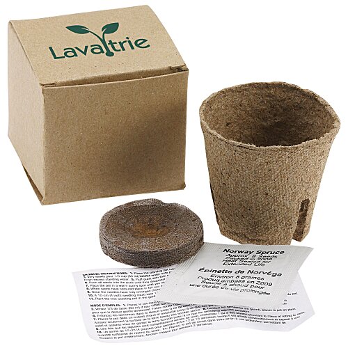 Plant in a Box Main Image