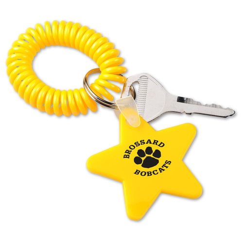 Coil Keychain - Star Main Image