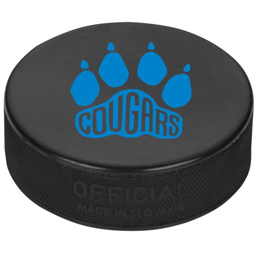 Hockey Puck Main Image