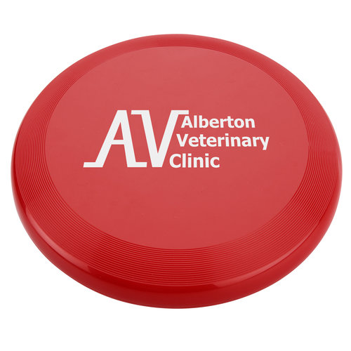 Fun Flyer - 10 inches Main Image