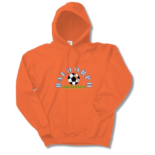 Gildan 50/50 Adult Hooded Sweatshirt- Applique Felt- Colours Main Image