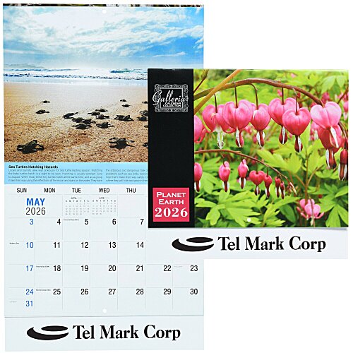 Planet Earth Appointment Calendar Main Image