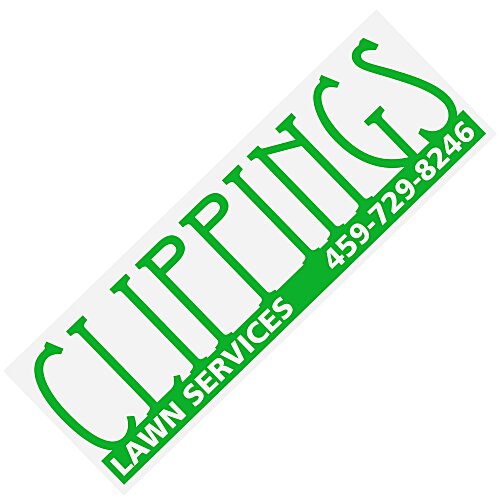Removable Vinyl Bumper Sticker - 3" x 9" Main Image