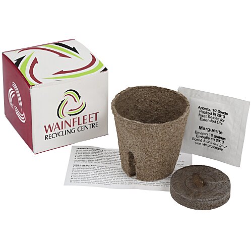 Plant in a Full Colour Box Main Image