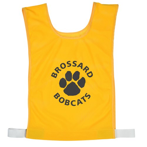 Mesh Sports Pinnie Main Image