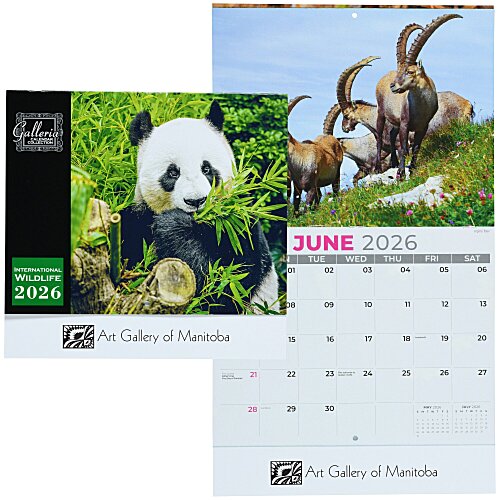 International Wildlife Appointment Calendar Main Image