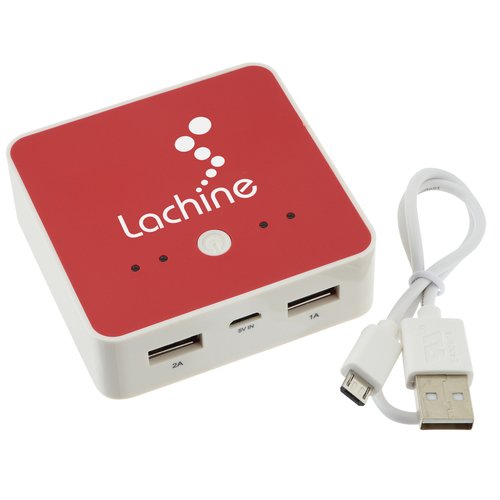 Dual Power Bank Main Image