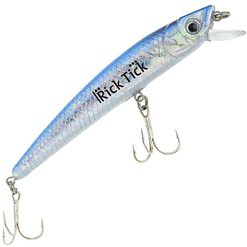 Floating Minnow Lure Main Image