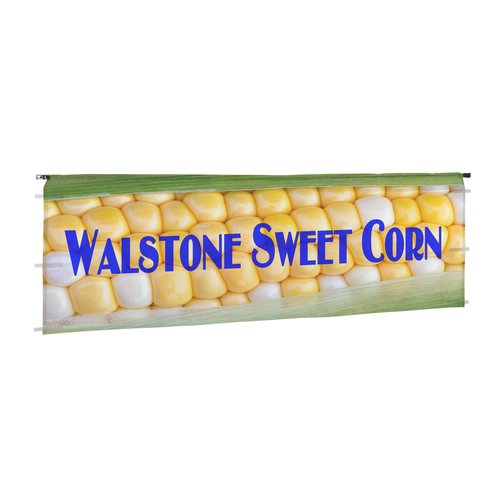 Standard 10-foot Event Tent - Mesh Half Wall Kit - Full Colour Main Image