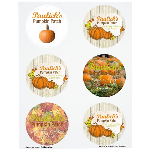 Quick & Colourful Sheeted Label - Circle - 3" Main Image