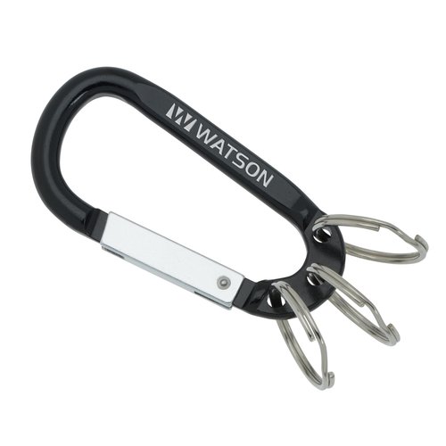Arctic Carabiner Keychain Main Image