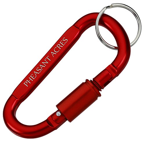 Carabiner Lock Keychain Main Image